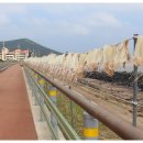 성산휴게소 - 12281 | 성산휴게소