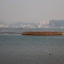 명지철새탐조대 티스토리