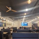 천지우식당 | 부천역 횟집 지우네회포차 내돈내산 광어 고등어회 추천