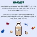은천동-30 이미지