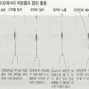 [붕어채비] 찌맞춤의 원리 이미지