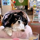 용궁중화요리 이미지