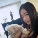 김사랑 카카오 검색결과