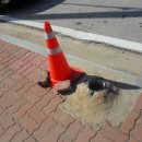 근덕면사무소 이미지