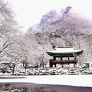 설화 - 화순군 지강로 438 | 설화