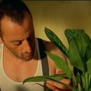 잇워즈고트 이미지