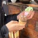 조선보리밥 이미지