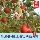 아메리온