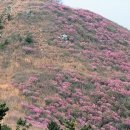 [남한땅 7정맥 ⑦낙남정맥 | 구간종주 르포] 우리 국토의 남쪽 울타리 낙남정맥 이미지