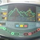 사파동247 이미지