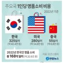 명품계란