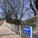 제천여행 제천 가볼만한 곳 청풍호반케이블카