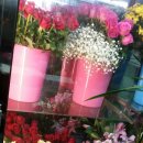 꽃나라화원 이미지