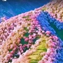 &#34;이번 총선이 마지막 선거일 수도&#34; 이미지