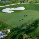 필드스크린골프 이미지