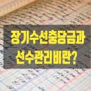 모아수선 이미지