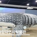 온천1동-13 이미지
