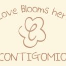 꼰띠고1 이미지