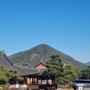 동의약선관 | 산청 한정식 수선사, 동의보감촌 맛집 동의약선관 재방문 후기