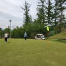 포레스트힐cc 이미지