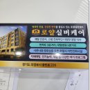 로얄실버케어 이미지