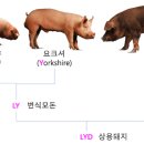 문정훈