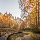 장태산자연휴양림 이미지