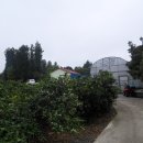 남원읍-2 이미지