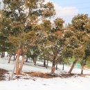 지성병원 이미지