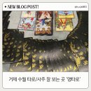 고향세탁소 | [거제] 거제 수월 타로/사주 맛집 ‘명타로’ 방문 후기