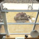 스테이 다연 이미지