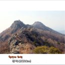 99차 진해 장복산(593m) 벚꽃 트래킹 이미지