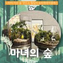 사슴이랑 배랑 농원 | 송파원데이클래스_마녀의 숲에서 나만의 작은 숲만들기(feat.힐링시간)