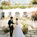 라움 이미지