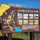 도리 마을회관 | 경주 도리마을 은행나무 단풍 명소 방문 후기