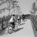 참사랑요양병원 이미지