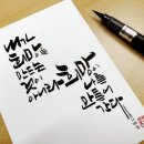 캘리와 함께 이미지
