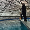 장구교실 이미지