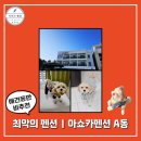 아쇼카 펜션 이미지
