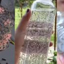 골목숯불구이 이미지