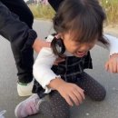 청소안선생 이미지