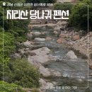 훈이축산 | 산청 여행ㅣ계곡 바로 앞 펜션, 지리산 당나귀 펜션 숙박 후기