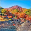 하동 이미지