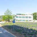 목천어린이집 이미지