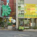 보은하다 이미지