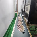 내 건강을 지키는 약과 생활 | 무릎통증 허리 아플때 약식동원 녹각우슬진액 관절염에 좋은음식 챙겨본 후기