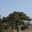 지석리 경로당 이미지