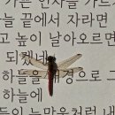 가을속 호암지 이미지