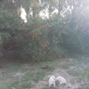 정우네농장 이미지