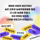 청년 윤봉길 이미지